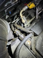 IMG_1184.jpeg IMG_1184.jpeg