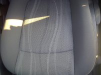 Forest Park-20120830-00023.jpg