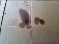 20170609_065807.jpg