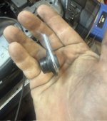 IMG_2801.jpeg