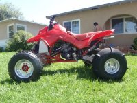 quad2.jpg