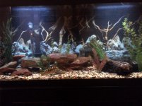 75%20Malawi%20tank.jpg