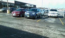 Red Hatch Spotted.jpg