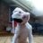 Tonyc712000